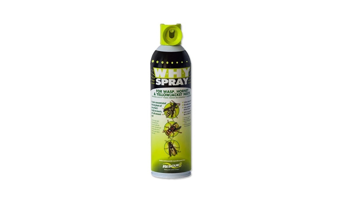 Natural Insecticide Spray  for Wasps