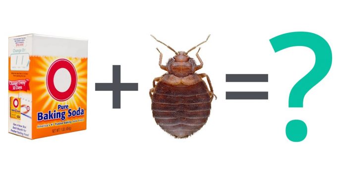 How to Use Baking Soda To Kill Bedbugs