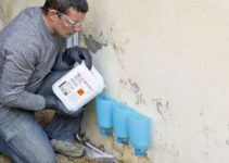 How Much Does Termite Control Cost