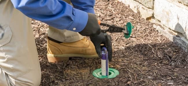 Termite Bait Stations vs Liquid Treatment