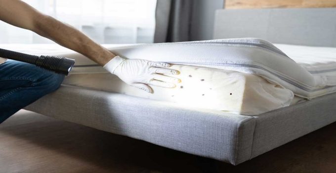 How to Get Rid of Bed Bugs on Your Mattress